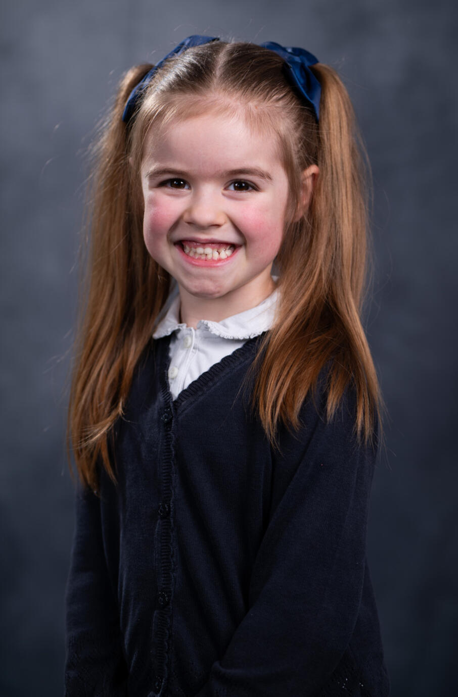 Varius leo fermentum